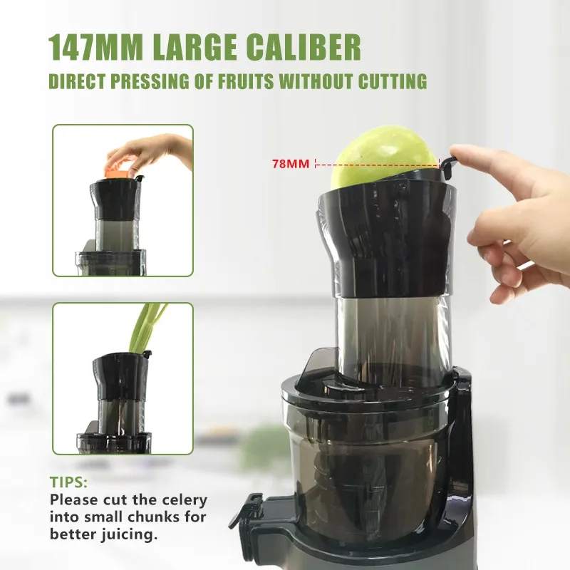 FirmHome StoreIslow Orange Cit - đánh giá và giá Juicer Cold Press Slow