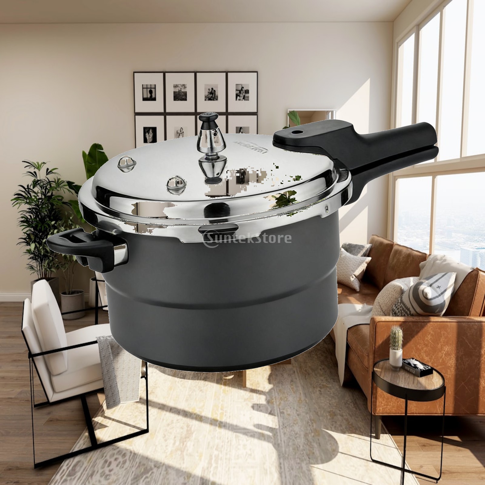Pressure Cooker for Gas or Ind - đánh giá và giá Instant Pot Pressure Cooker
